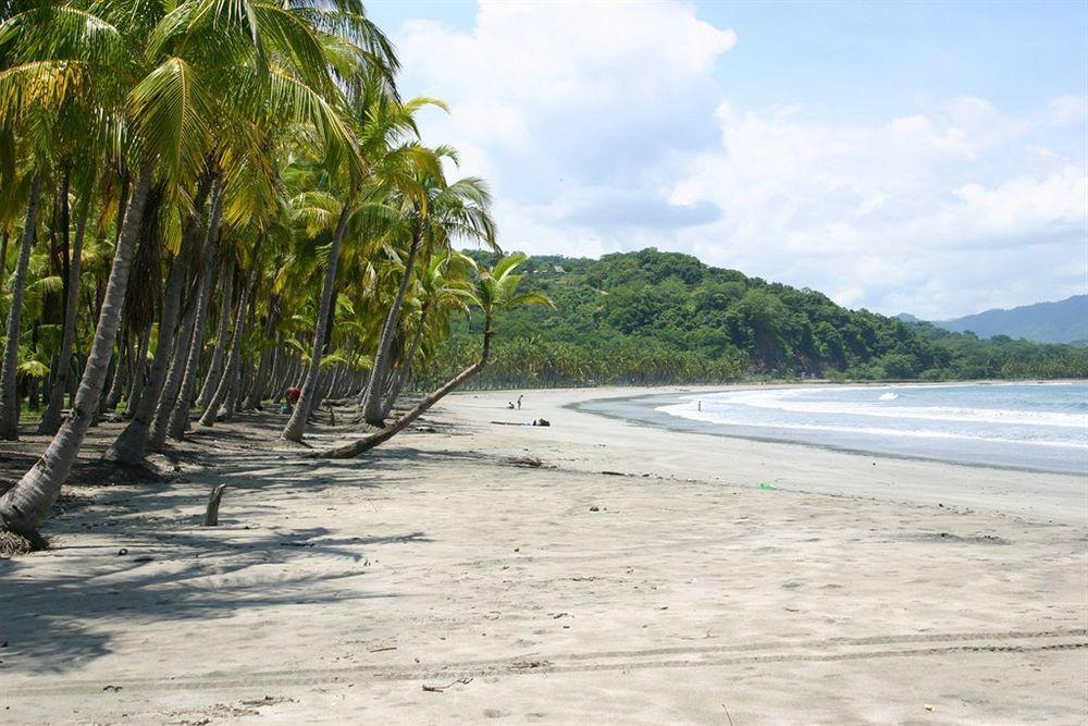Hotel Villa Teca Manuel Antonio Exterior foto